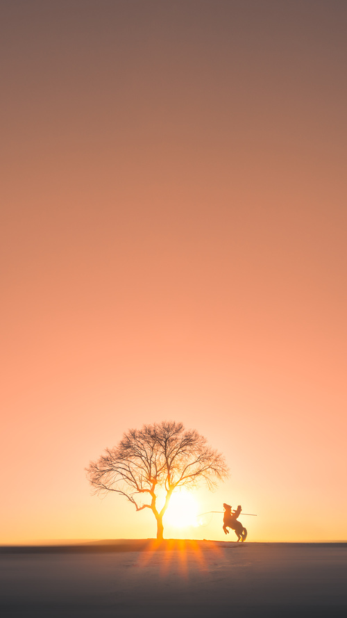 《DOTA2》赛事对科技发展的推动：虚拟现实与人工智能的应用，游戏比赛dota2